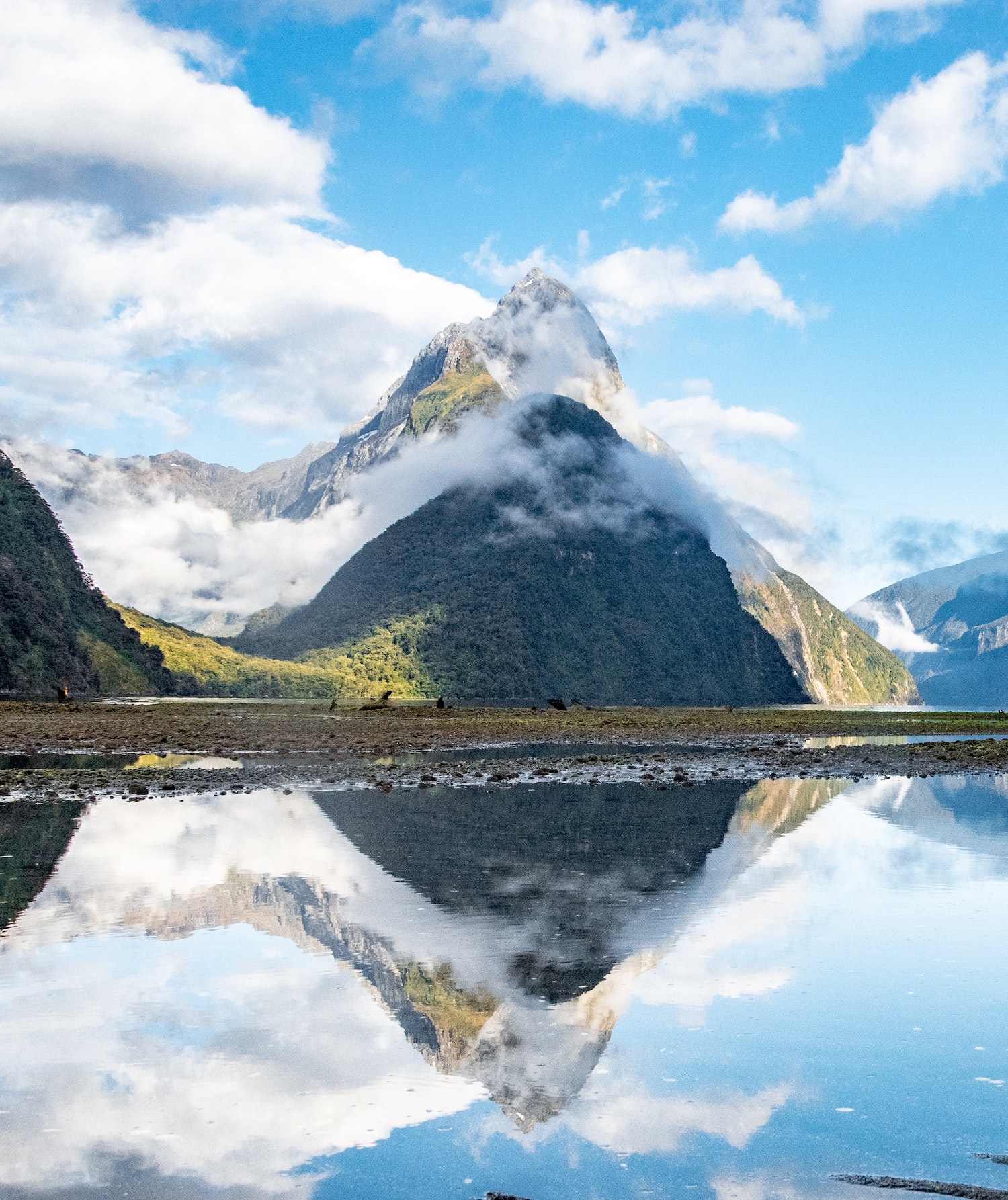 Perfect reflection of clouds and mountains and on a lake at Milford Sound.