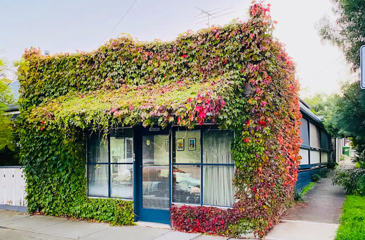 A vine-covered exterior of a milkbar converted to an Airbnb Melbourne, with blue detailings.