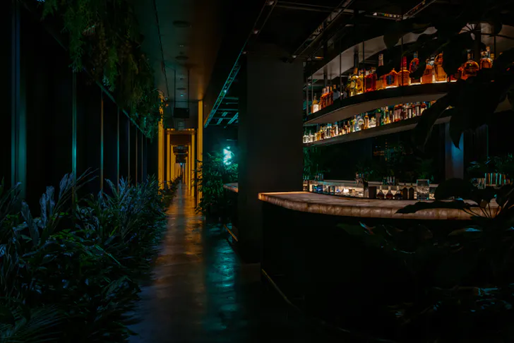 Millim After Dark