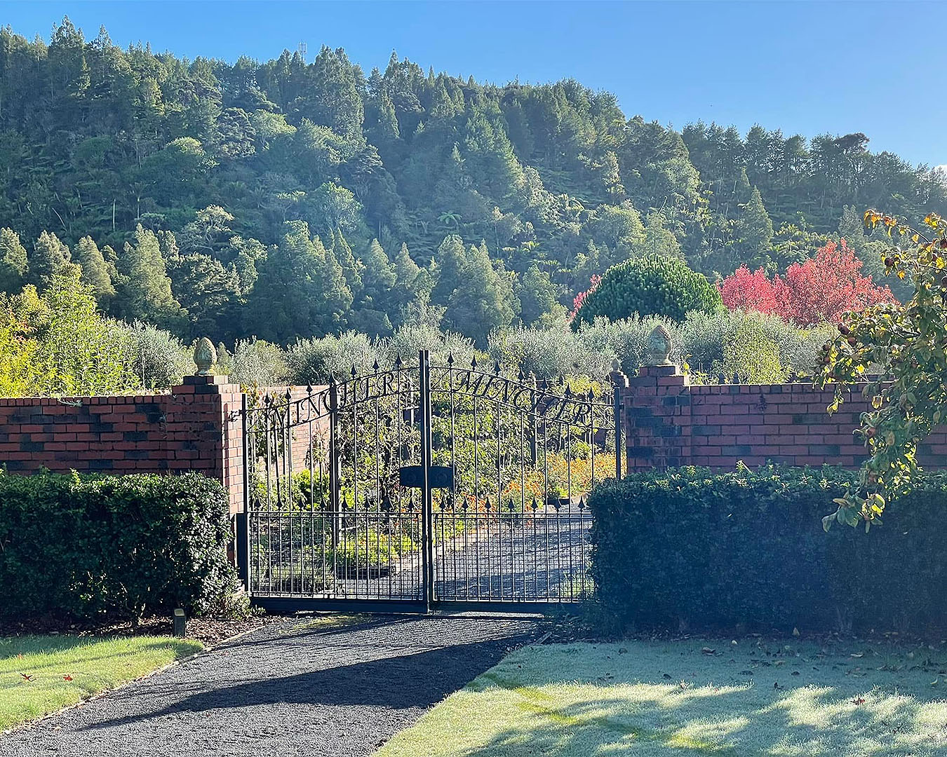 The gates of Mincher Gardens with beautiful trees in the background.