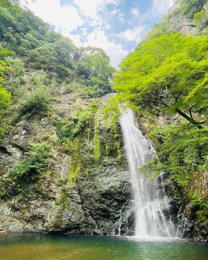A gushing waterfall in lush surrounds at Minoo Park.