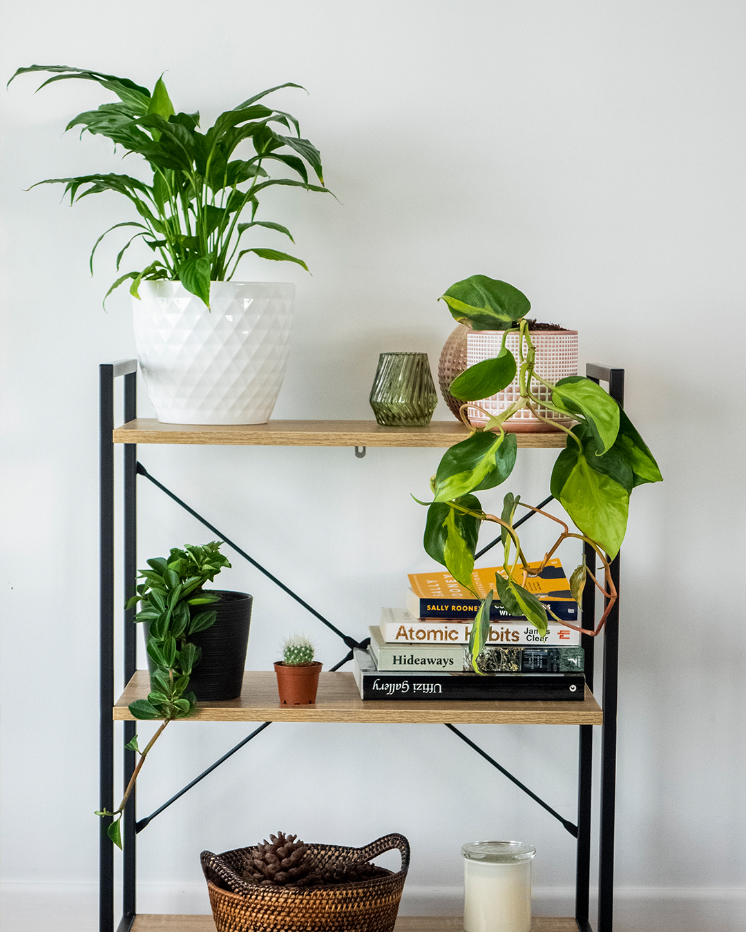 A Tiered shelf 