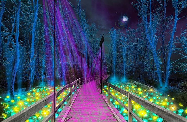 A concept artwork with blue lit trees in the night sky with a board walk with purple light shining down and neon bushes at either side. 