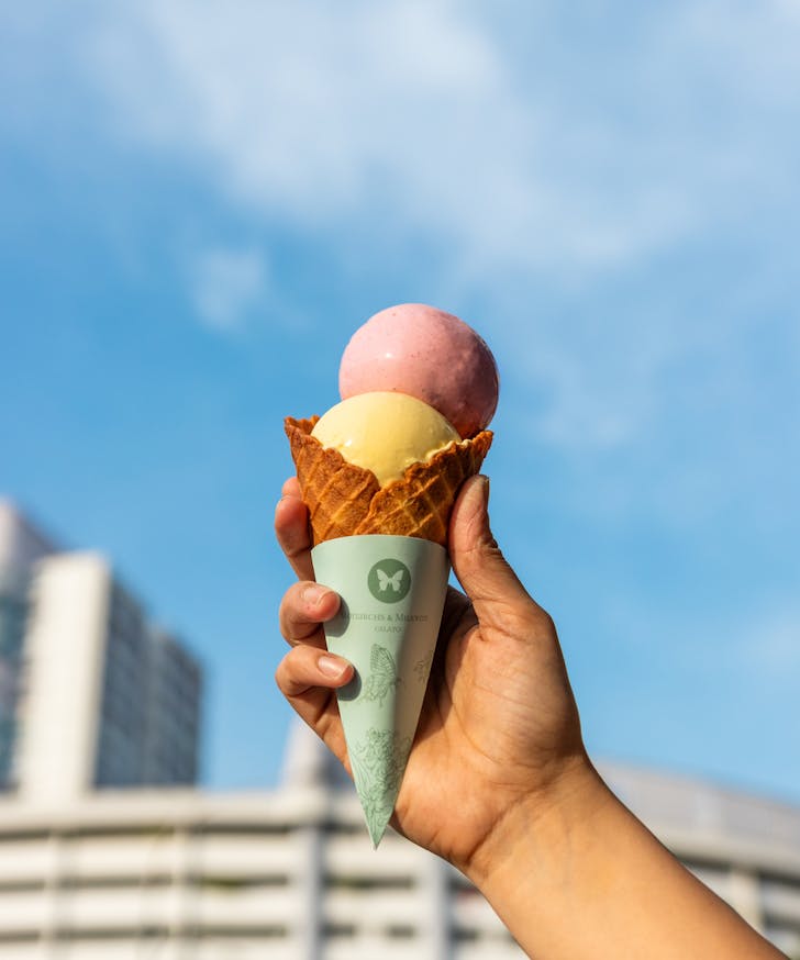 Ice cream in a cone from Monarchs & Milkweed
