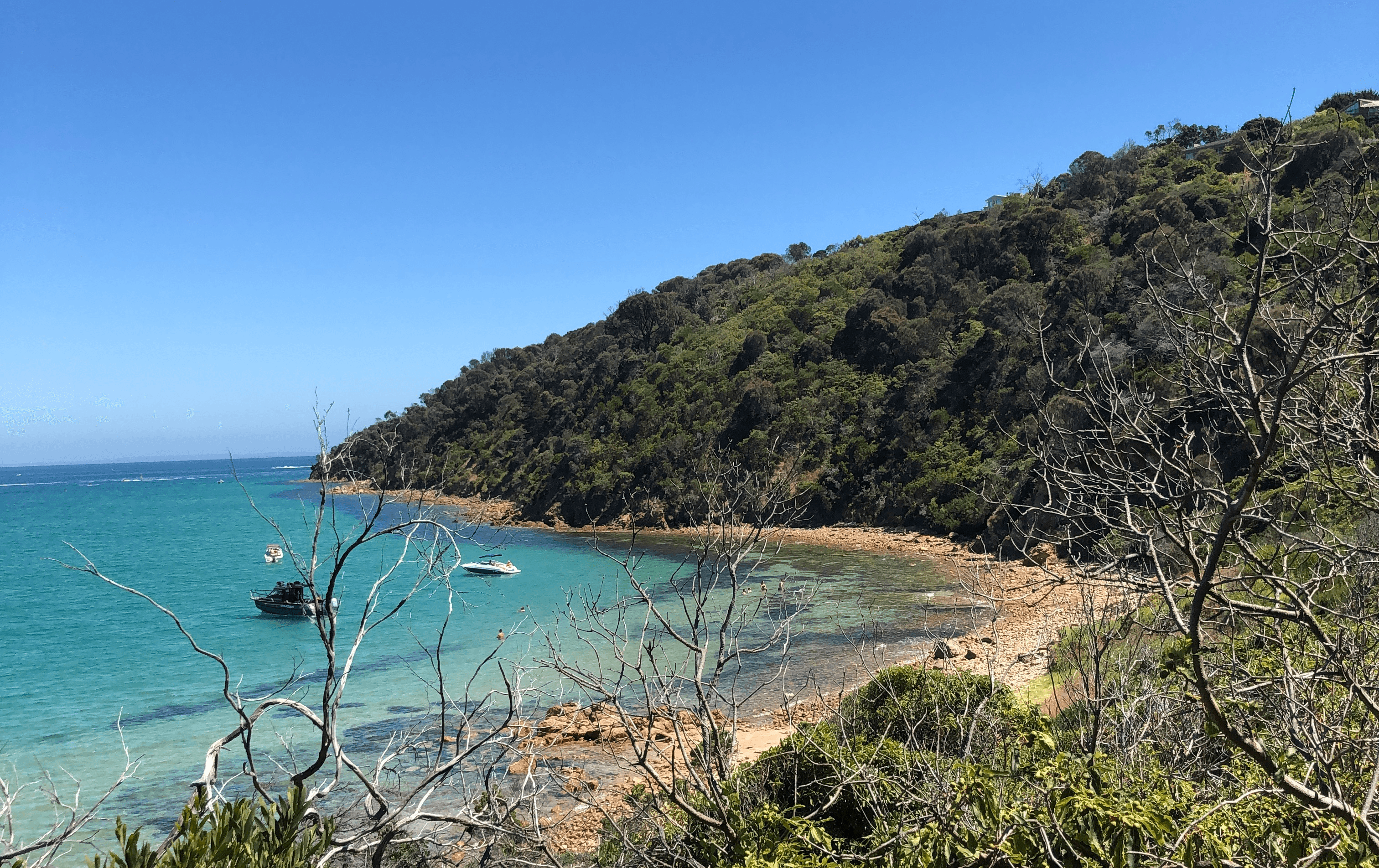 A small cove with blue water at one of the best beaches in Victoria.