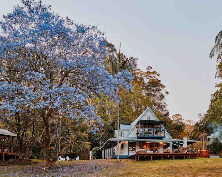 House with jacaranda tree outside