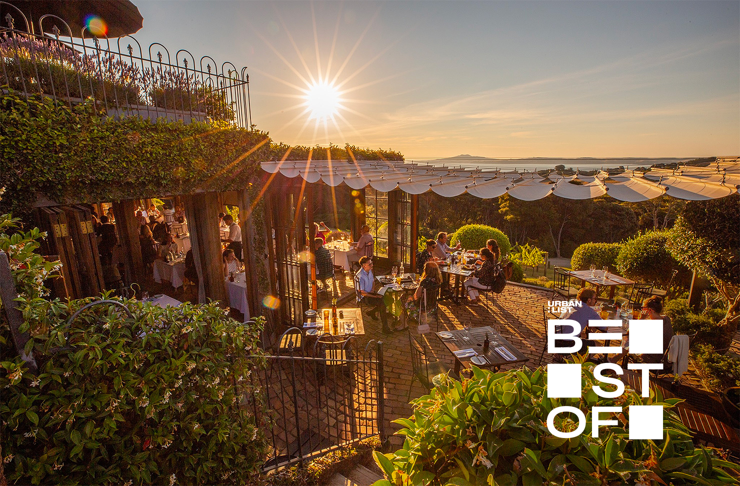 A beautiful sunset shot of Mudbrick Vineyard