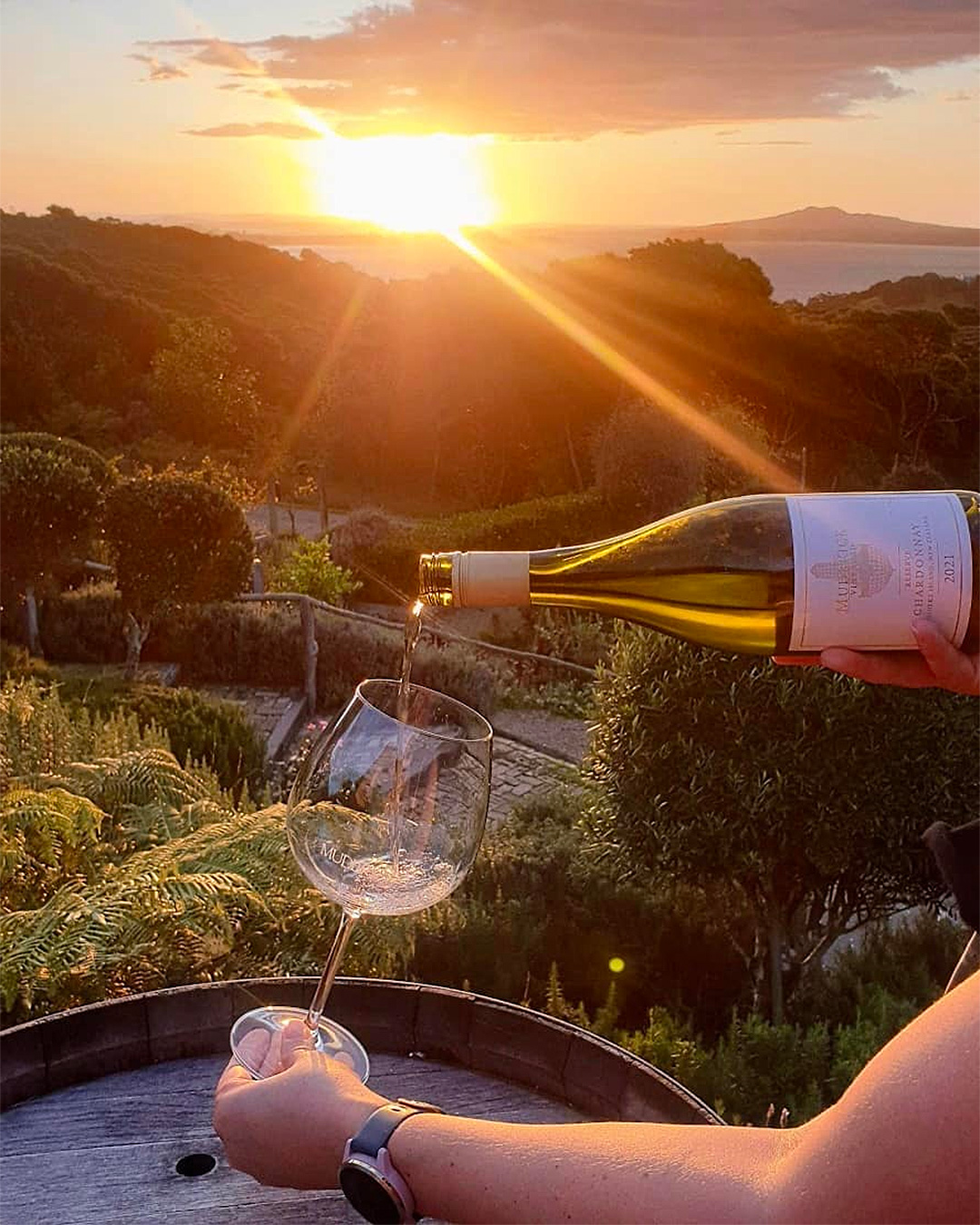 Someone pours out wine at Mudbrick Vineyard and restaurant, one of the best wineries in Waiheke.