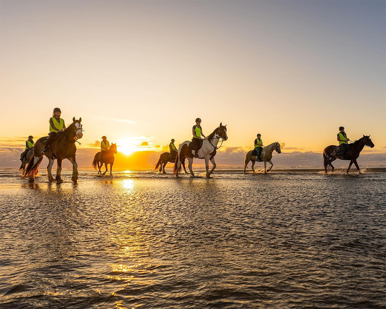 15 Of The Best Places For Animal Lovers To Visit In Auckland URBAN LIST NEW ZEALAND