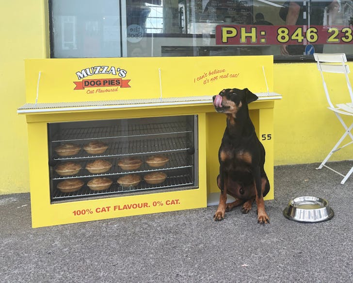 A dog waiting to tuck into a Muzza's 'cat' flavoured pie.