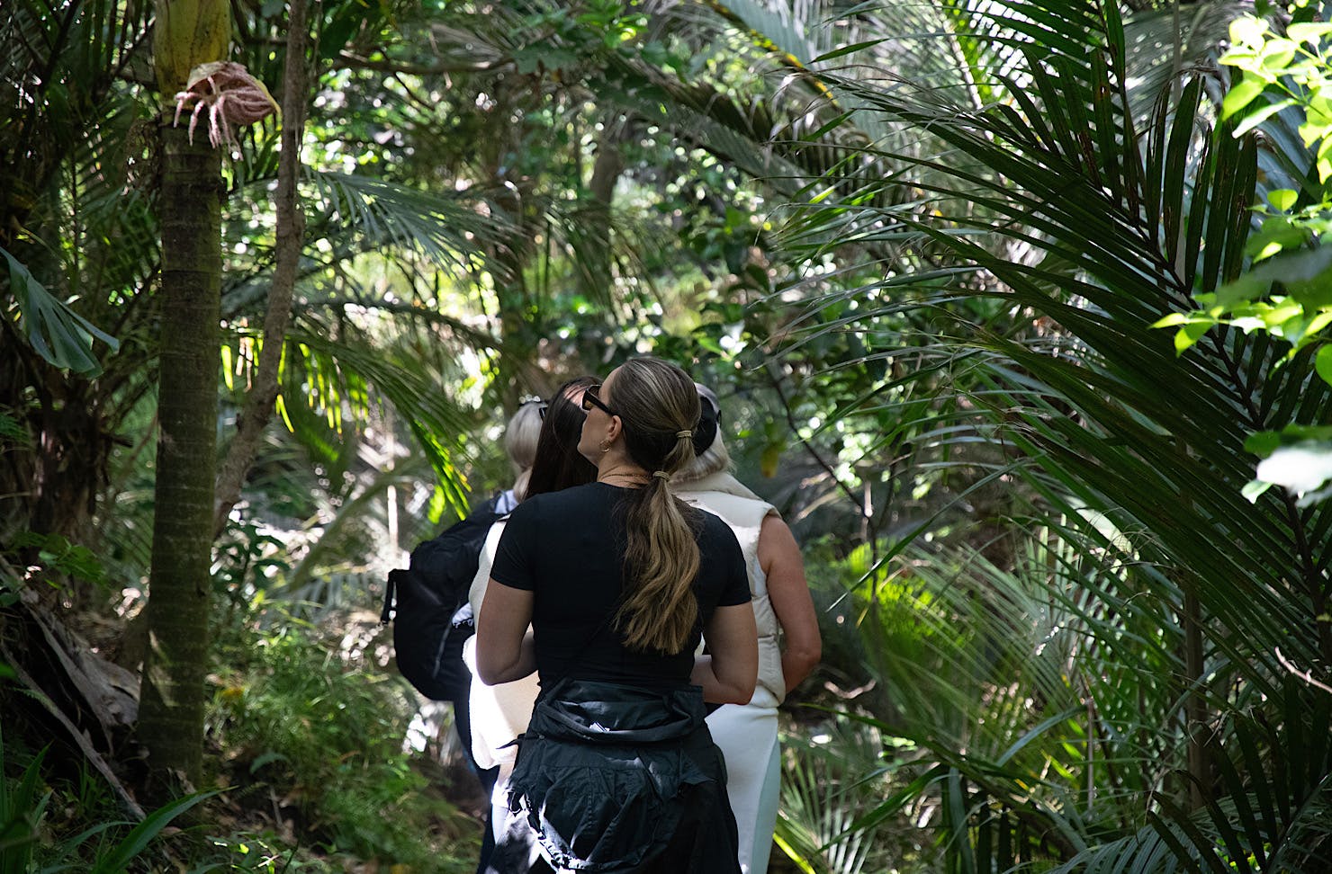 A line of women walk through a forest