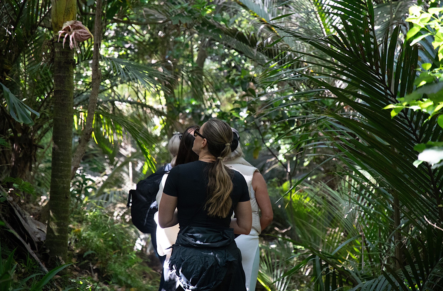 A line of women walk through a forest