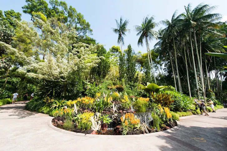 Singapore Botanic Gardens