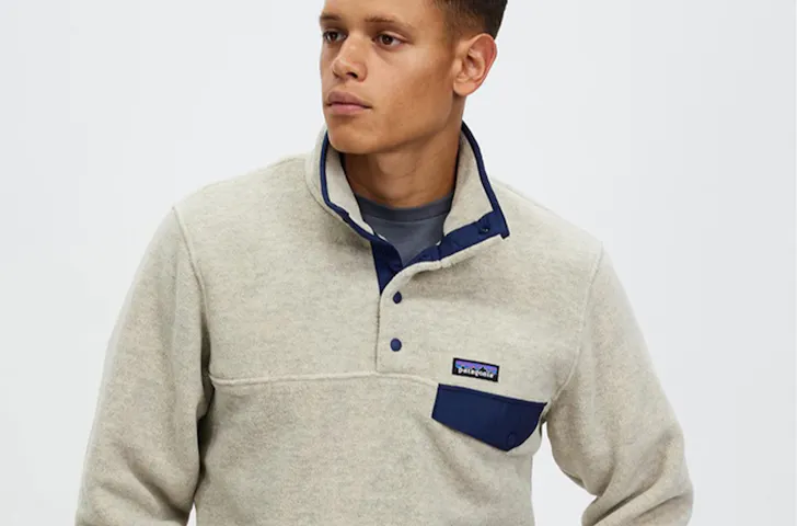 Patagonia Lightweight Synchilla® Snap-T® Pullover