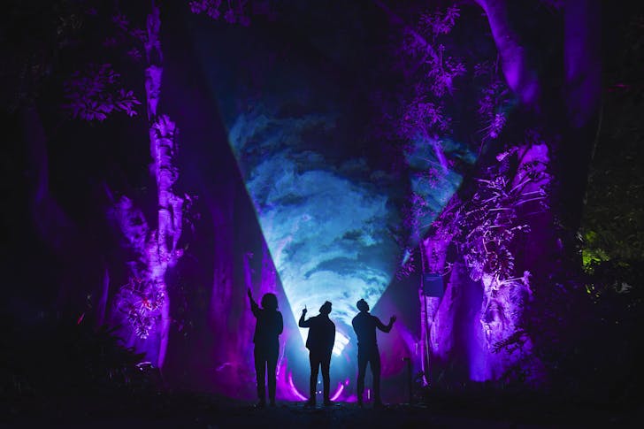 People standing in front of light show.