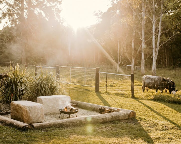 The fire pit at Nightcap Cottage Airbnb Nimbin