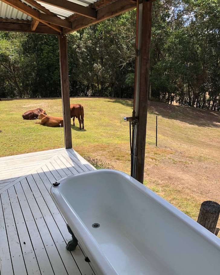 The outdoor bath with cows in the distance at Noosa Hinterland Cabin Airbnb near Brisbane Queensland
