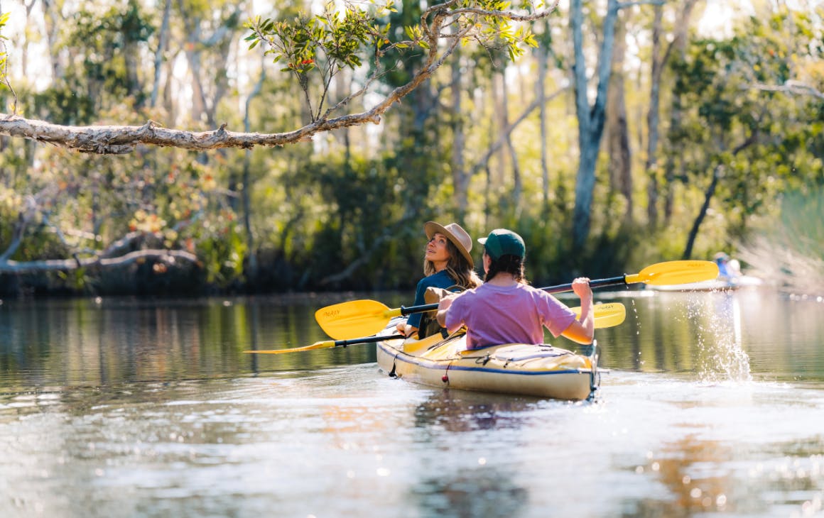 Kayaking on the Noosa Everglades