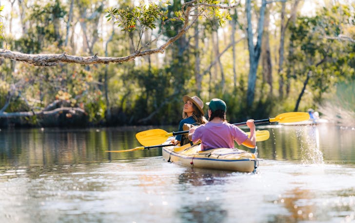 Kayaking on the Noosa Everglades
