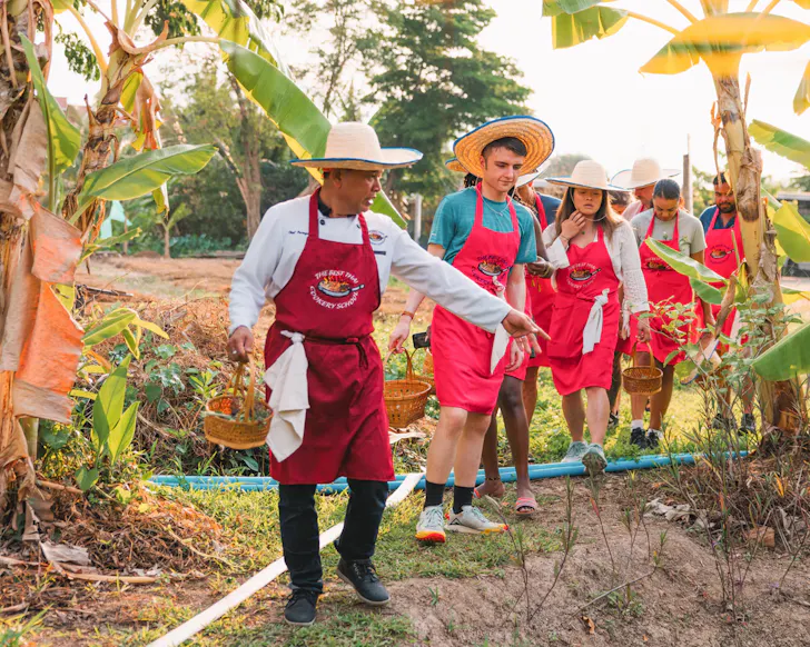 A cooking guide leads a class through rice fields. 