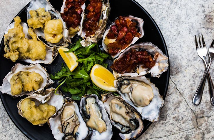 A play of oysters 