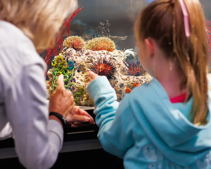Family looking at interactive screen