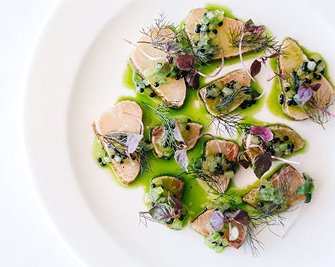otto-sydney-italian-restaurant