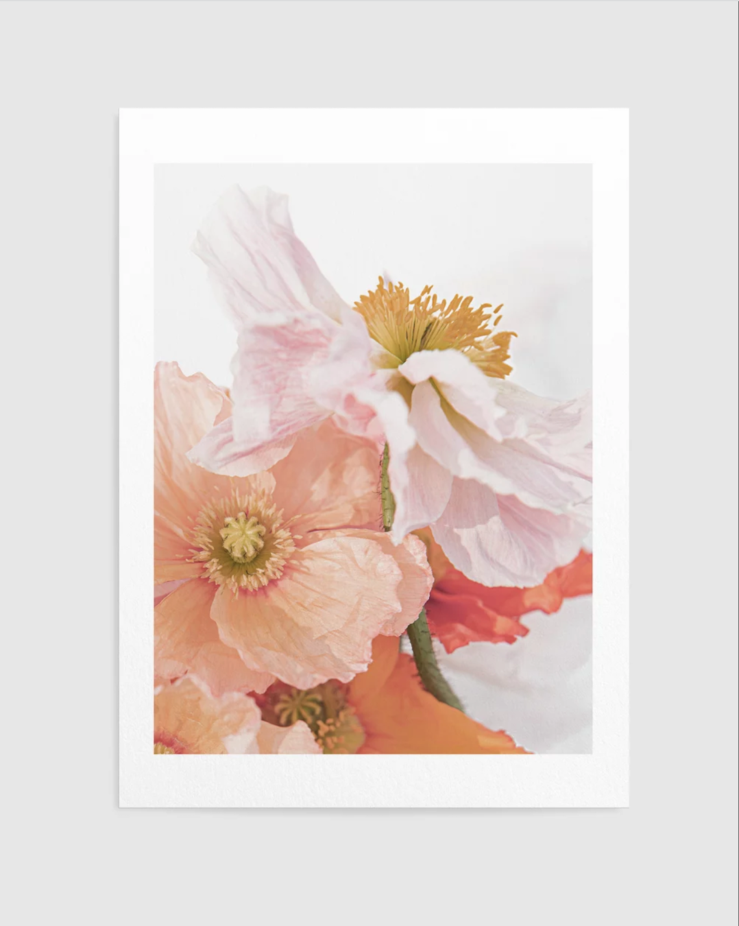 Flower Market Perth  Framed Canvas Art Print – Olive et Oriel