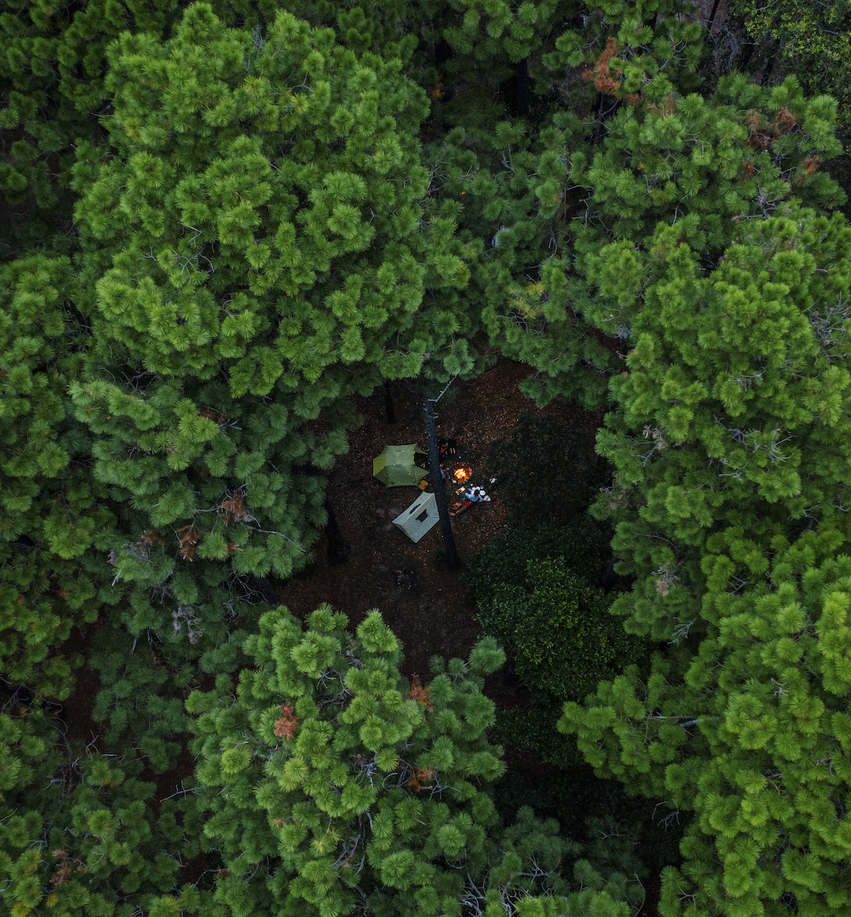 A birds eye view of people camping in Onley State Forest.