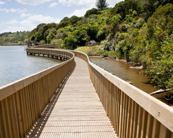 A suspended boardwalk above ÅrÄkei Basin, lined on one side with trees. 