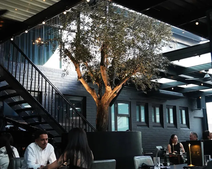 An olive tree in the centre of Oribu.