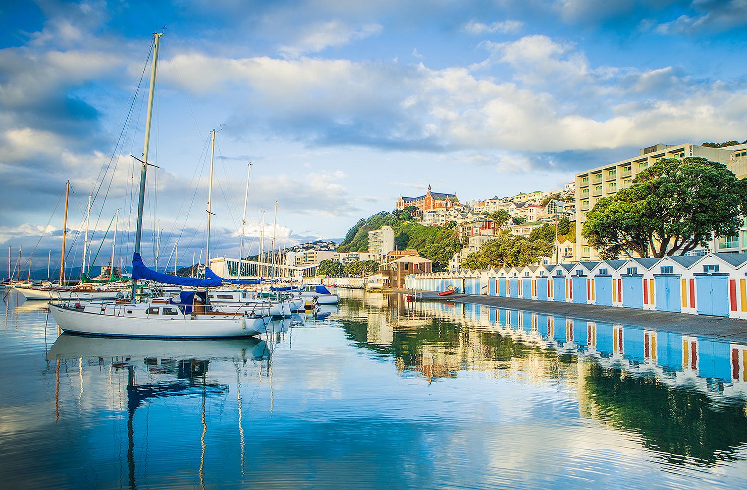 The boatsheds at Oriental Bay looking lush.