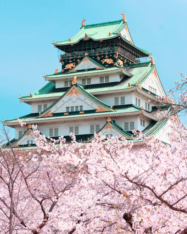 The beautiful Osaka Castle surrounded by bright pink cherry blossoms.
