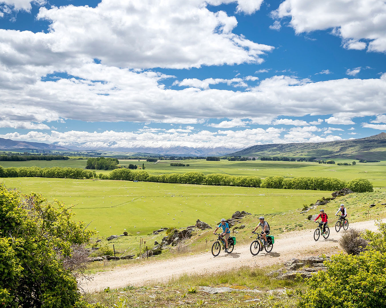 People cycle the Central Otago Rail Trail.