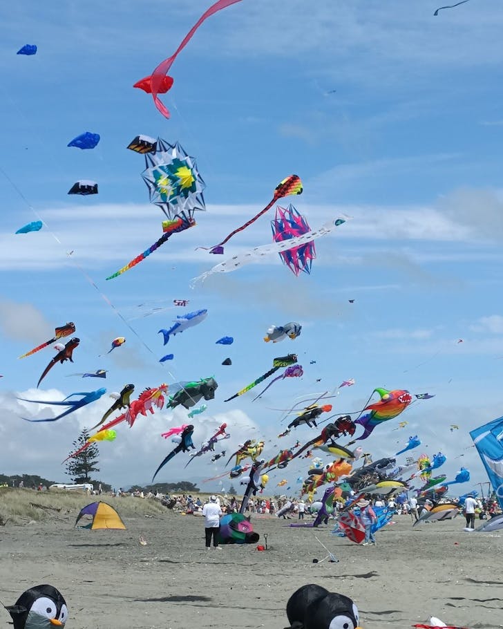 A colourful array of kites are flying above a beach
