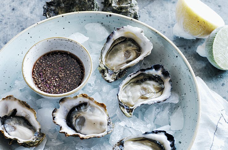 best oysters melbourne