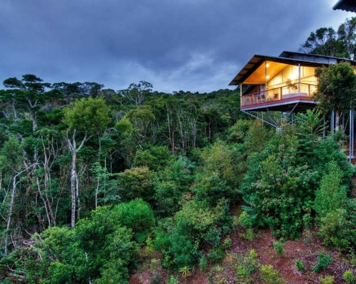 A view of the retreat above the trees at O’Reilly’s Rainforest Retreat one of the best Gold Coast romantic getaways