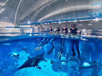 People snorkelling at the Singapore Oceanarium