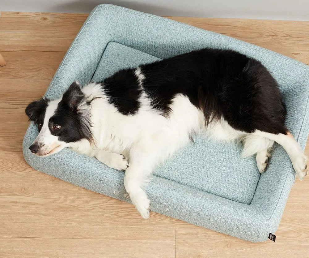 The Best Dog Beds In Australia URBAN LIST GLOBAL