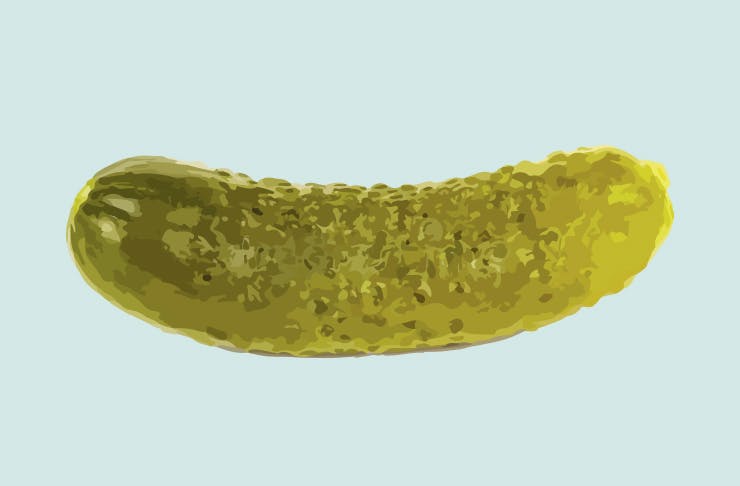 pickle haters