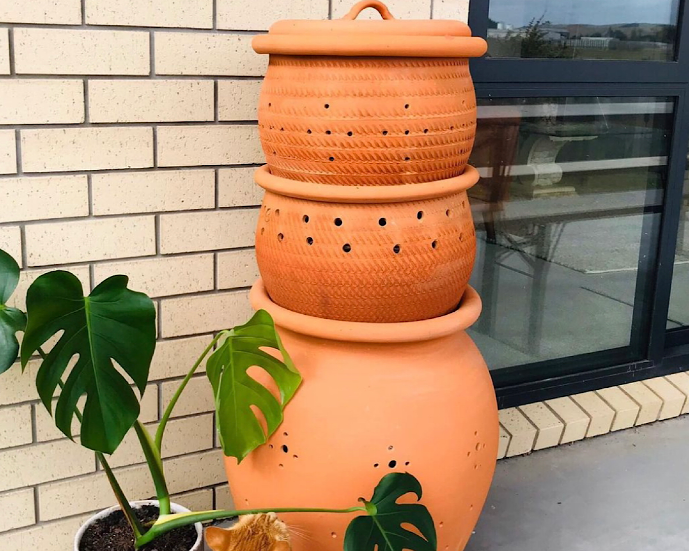A three-tier clay compost pot sits beside a glorious monstera while being inspected by a ginger cat. 