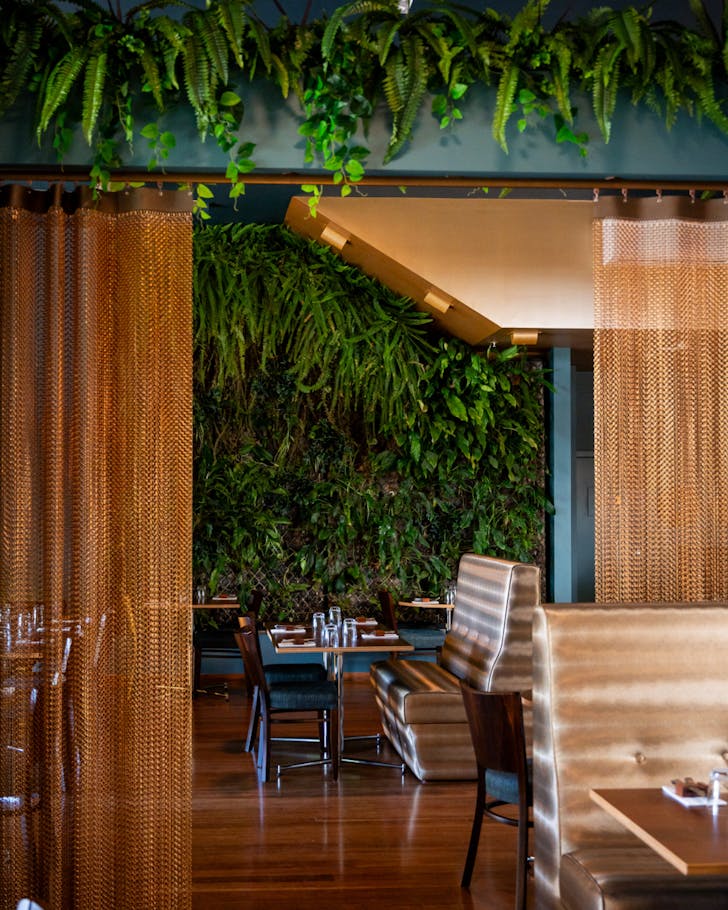 The interior of Palate. 