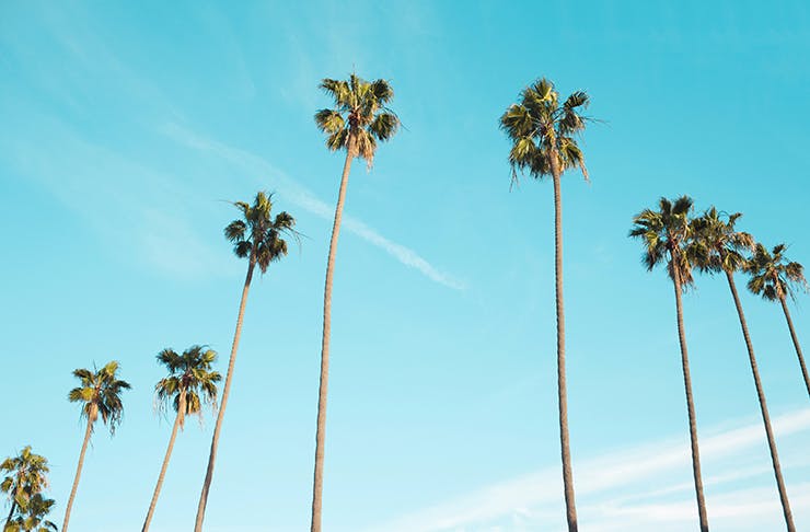 Guide To Palm Springs 