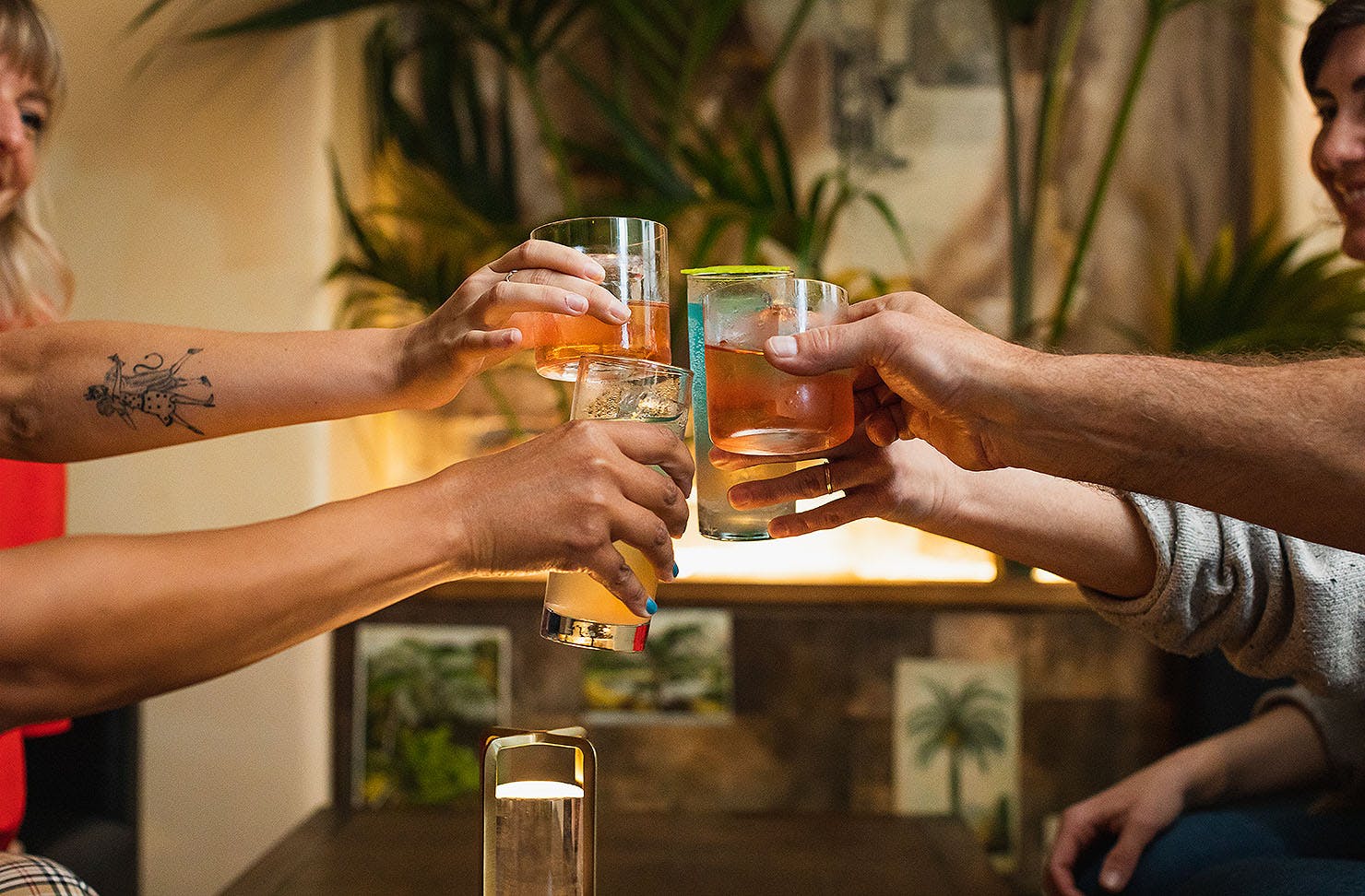 we clink glasses at Panacea.