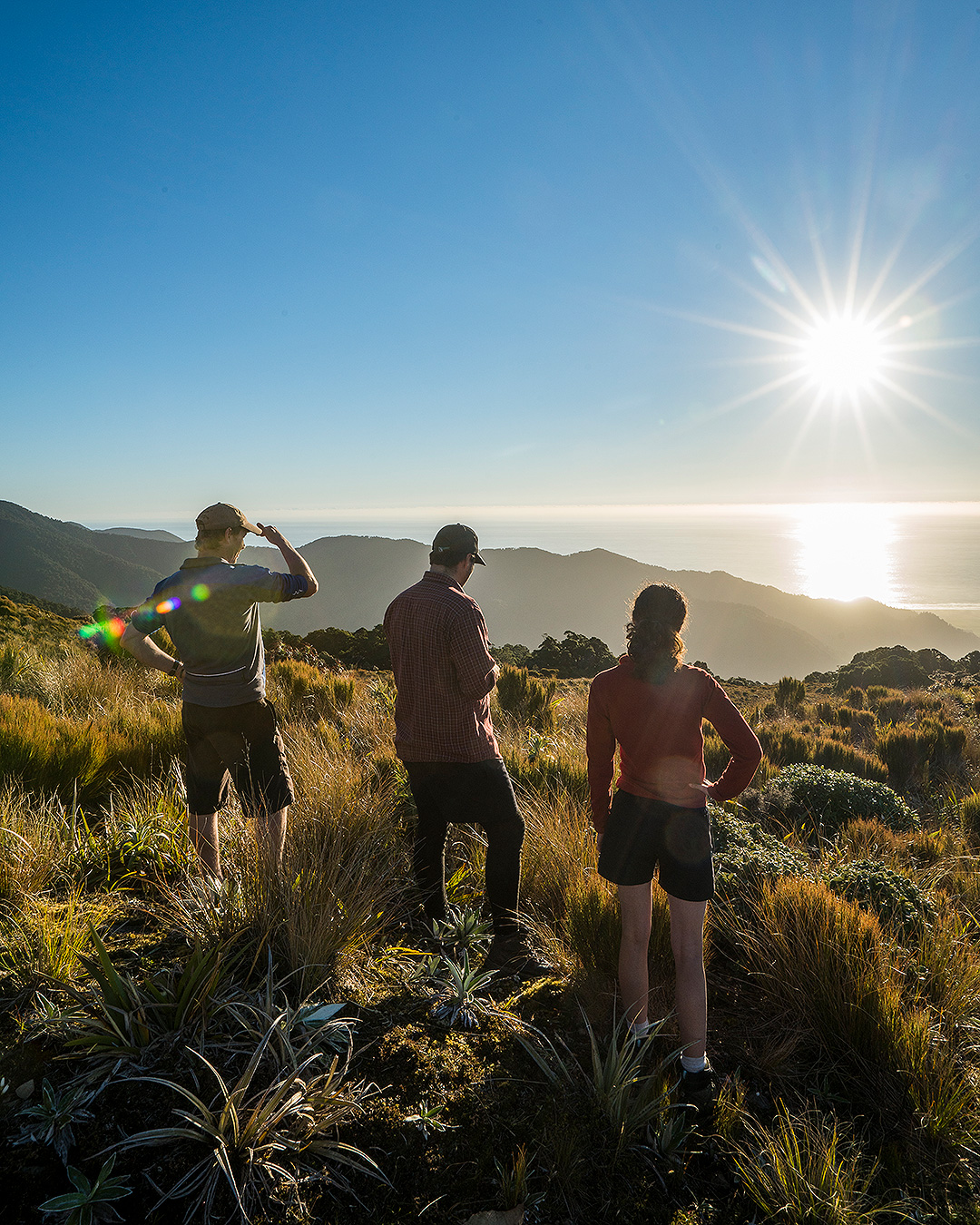 People look out at the view on the Paparoa Track, one of New Zealand's great walks.