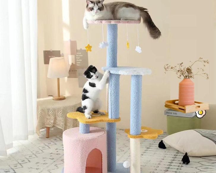 Best Cat Tree Australia