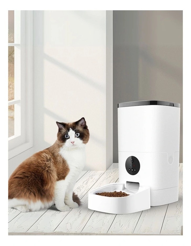 PaWz Auto Feeder