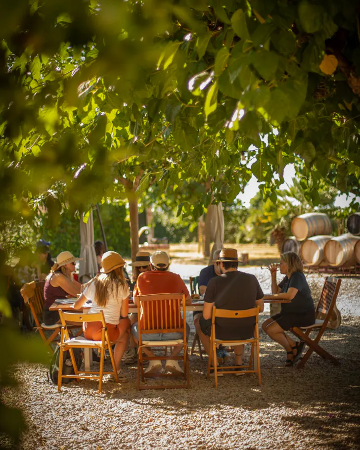A group of day trippers sitting under a canopy of trees in the PenedÃ¨s Wine Region, Barcelona.
