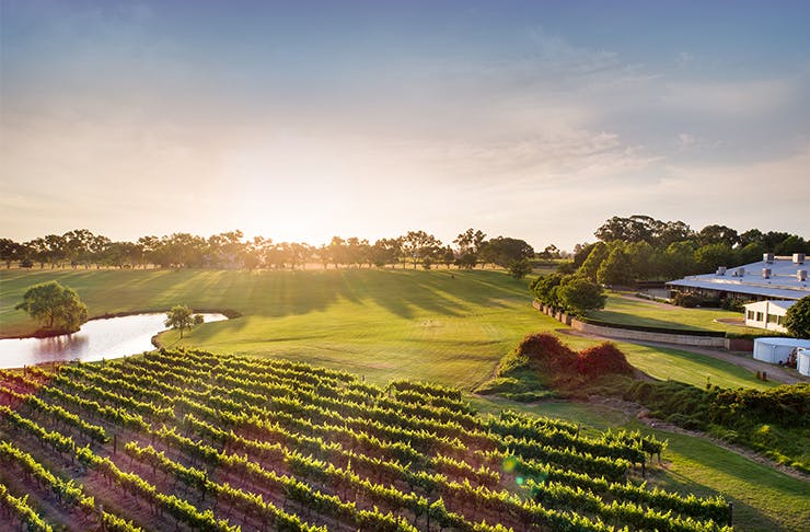 Perth's Best Swan Valley Wineries