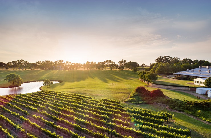 Perth's Best Swan Valley Wineries